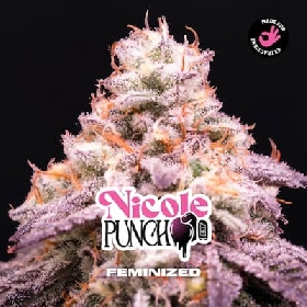 Nicole Punch > BSF Seeds